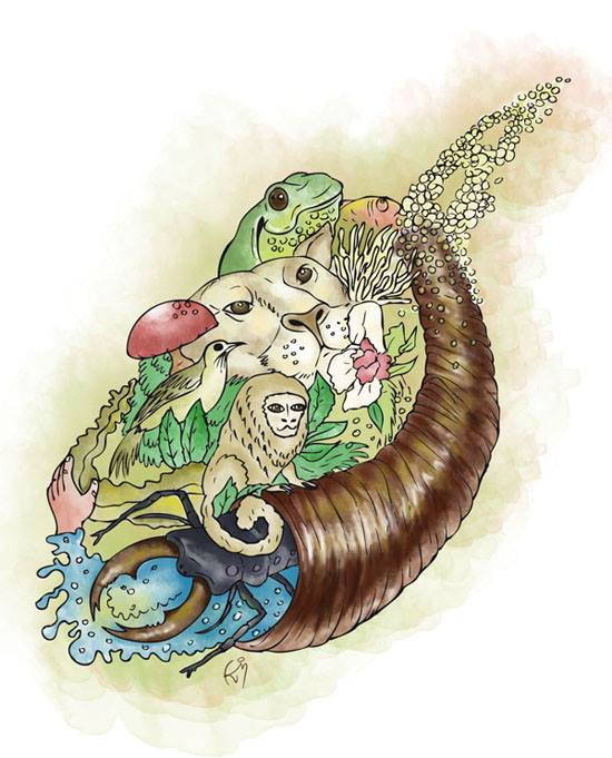 Ilustra cartilha leão